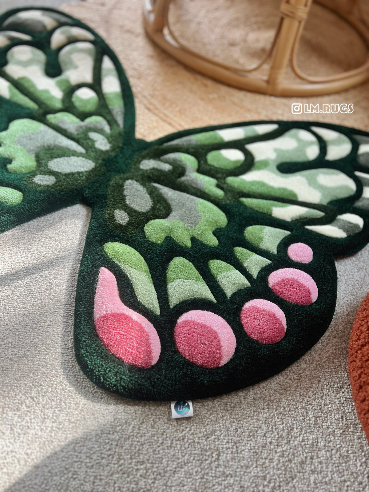 Whimsical Butterfly Duo🦋