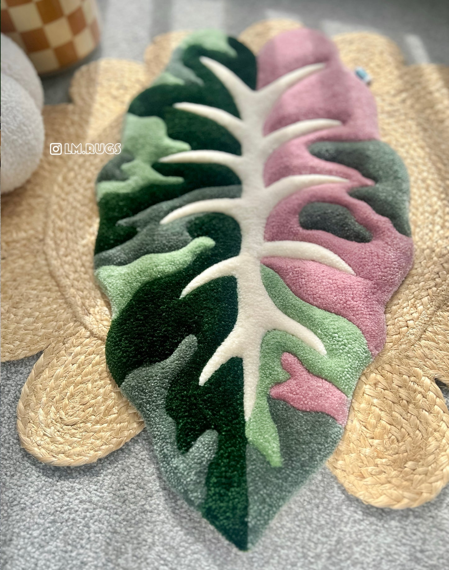 Alocasia Chantrieri in Pink