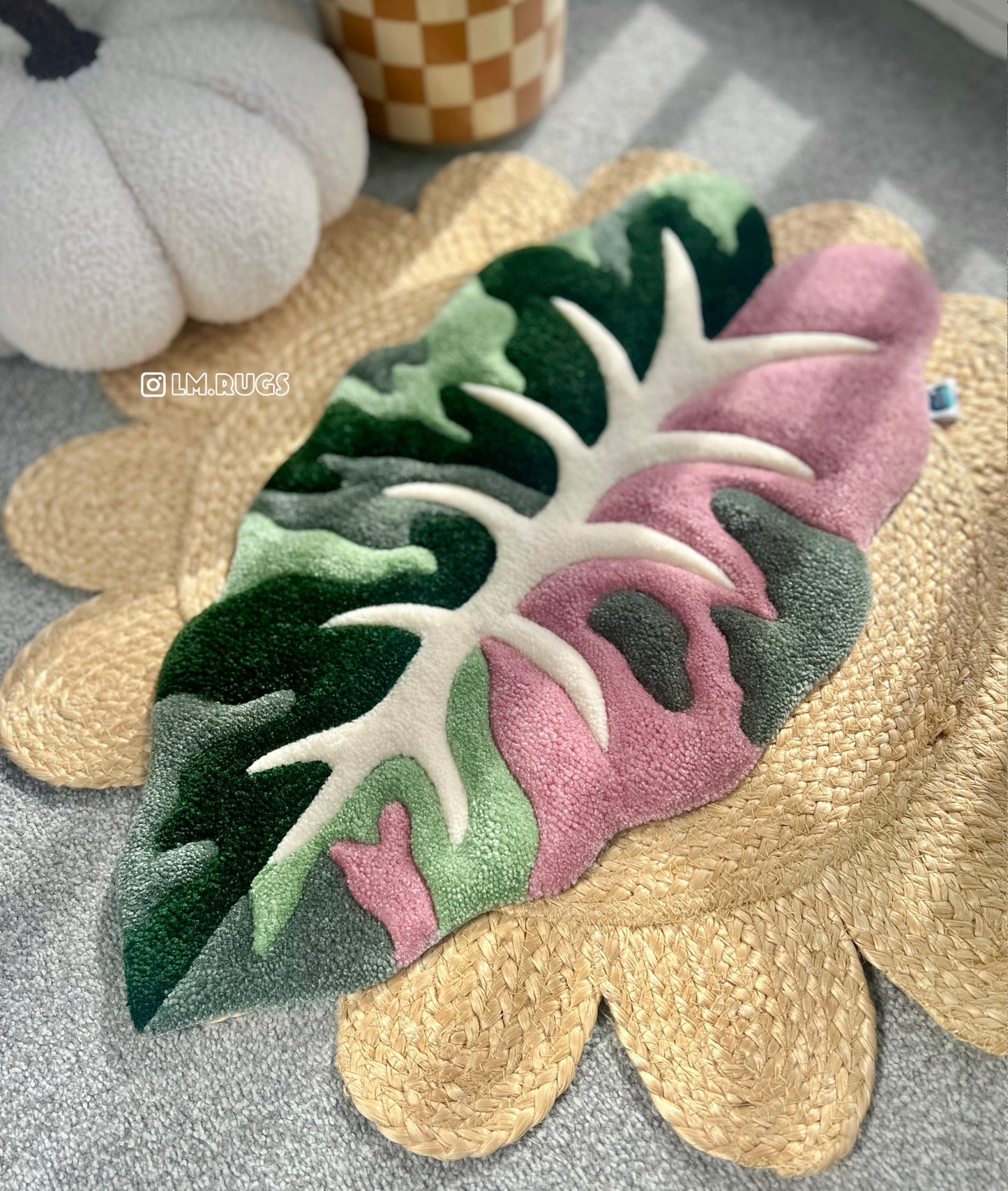 Alocasia Chantrieri in Pink