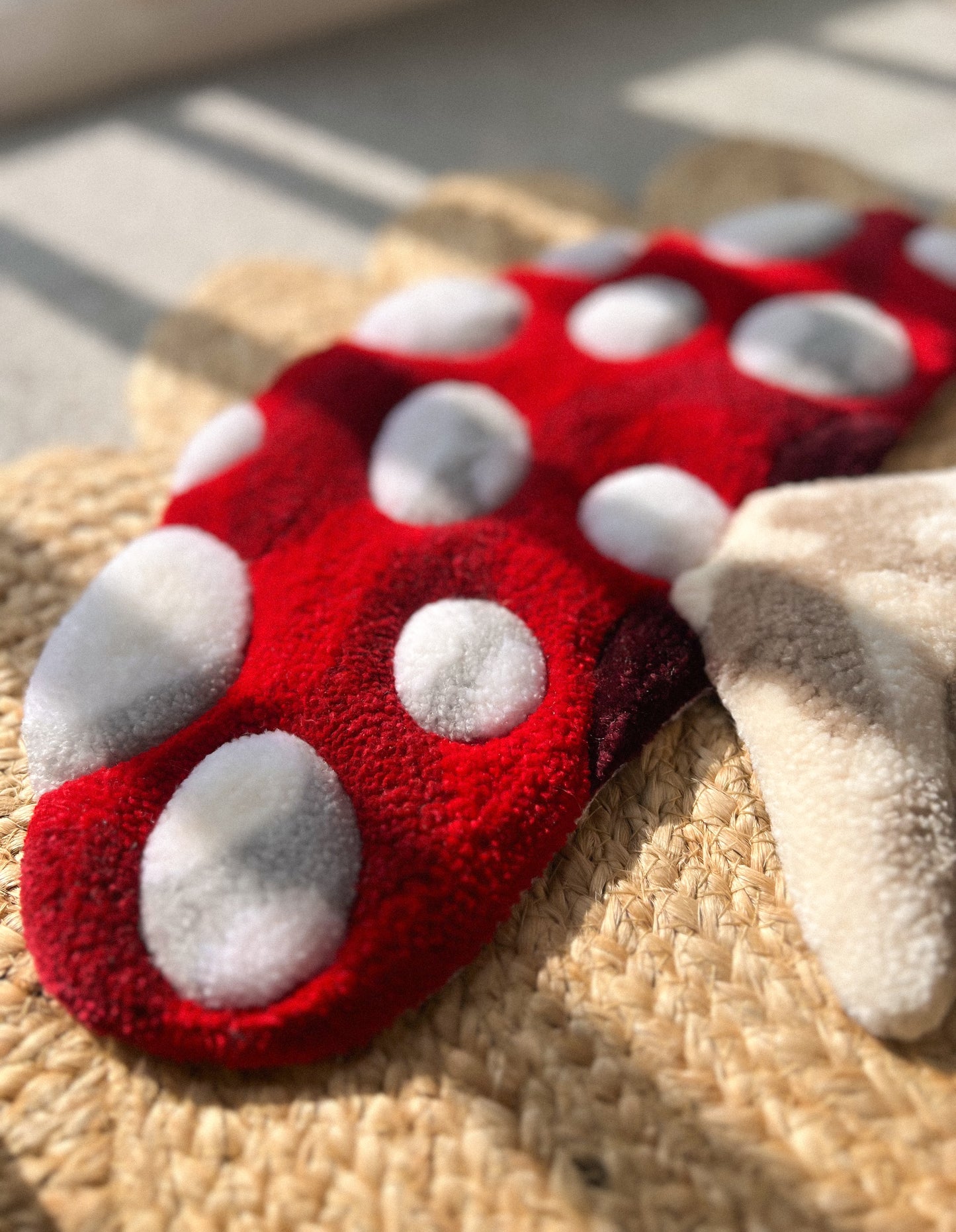 Mini Hangable Mushroom Rug