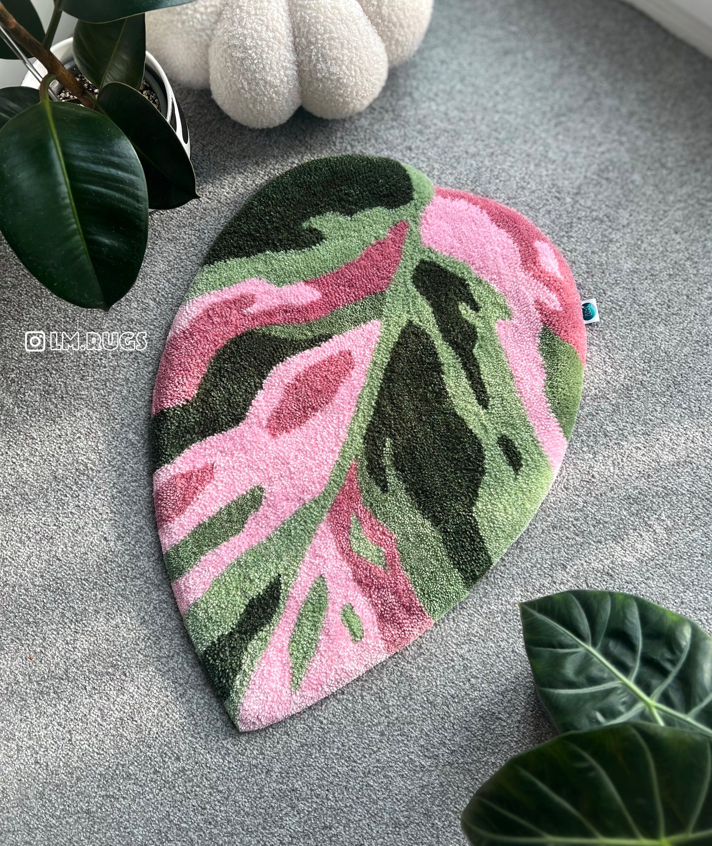 philodendron crafts Philodendron Pink Princess – Labeled Masterpieces