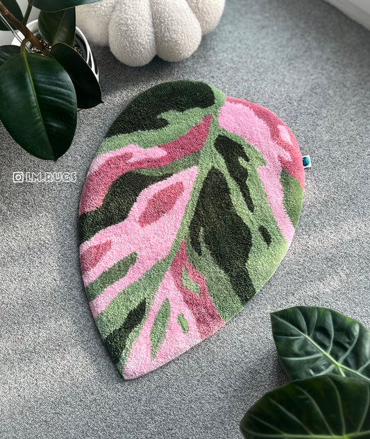 Philodendron Pink Princess