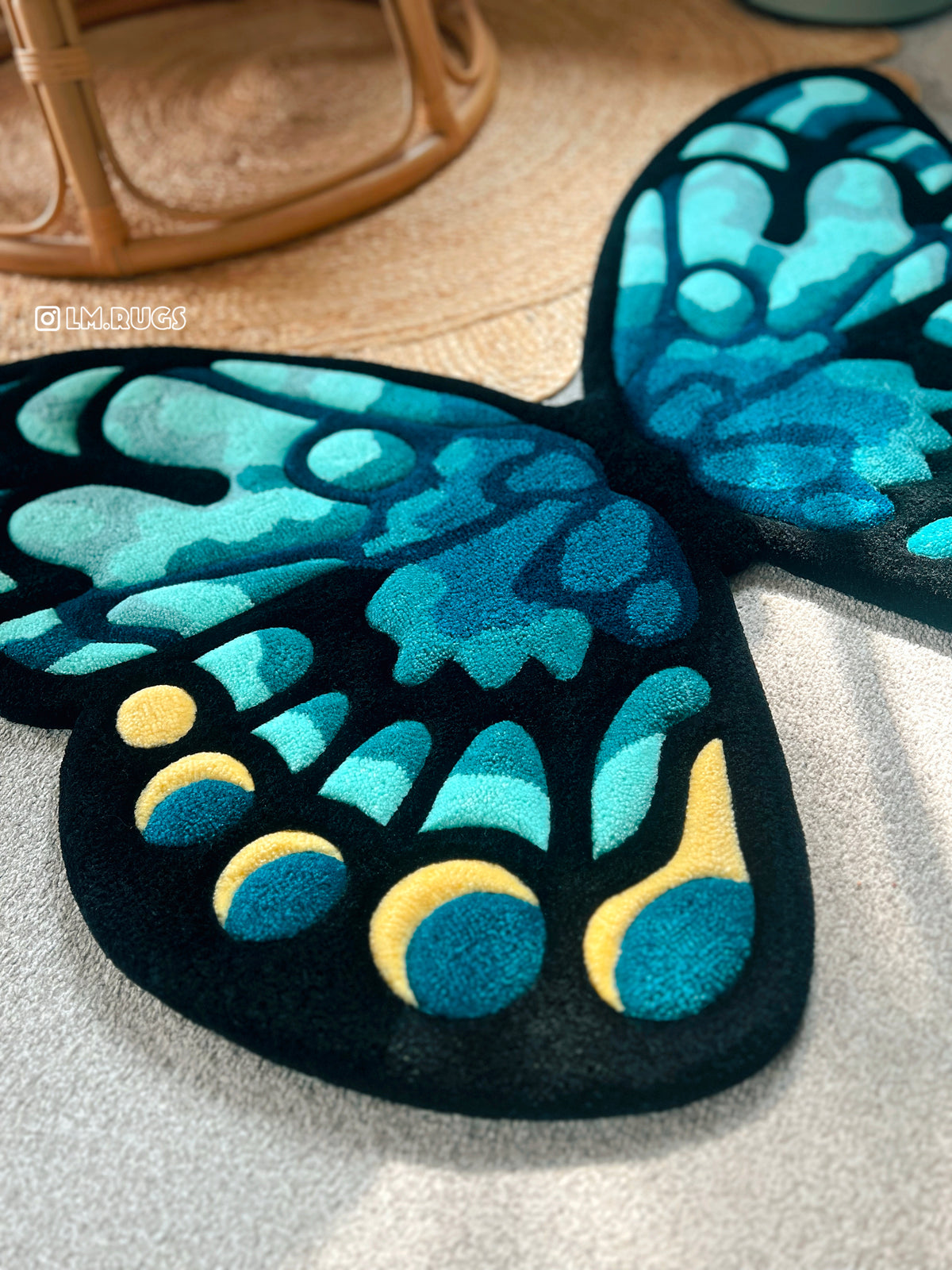Whimsical Butterfly Duo🦋