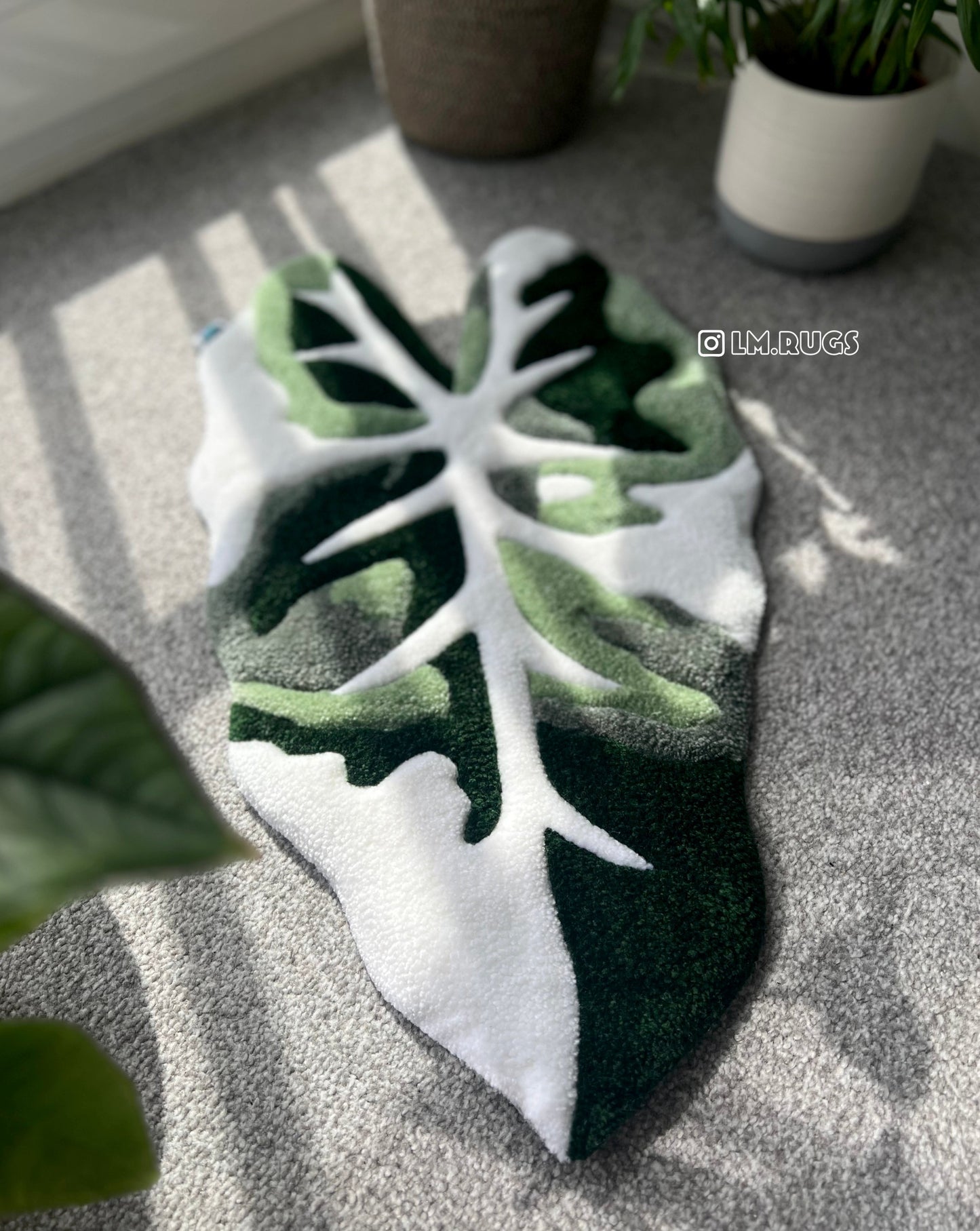 Alocasia rug